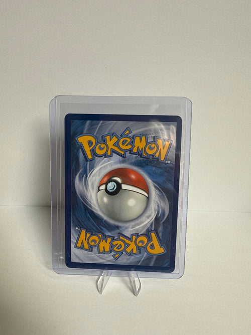 Ambipom 107