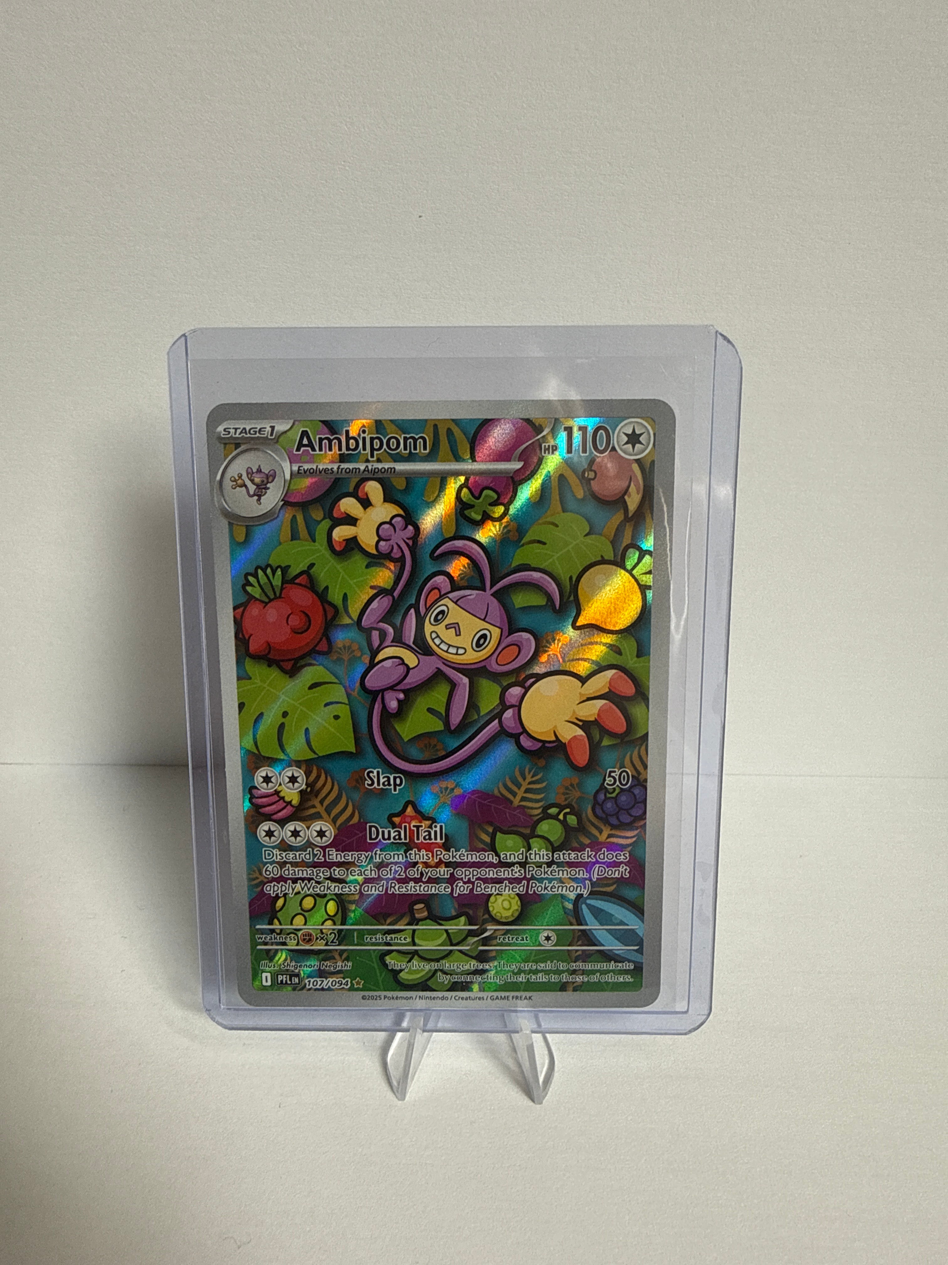 Ambipom 107