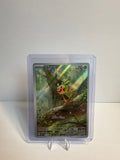 Chespin 087