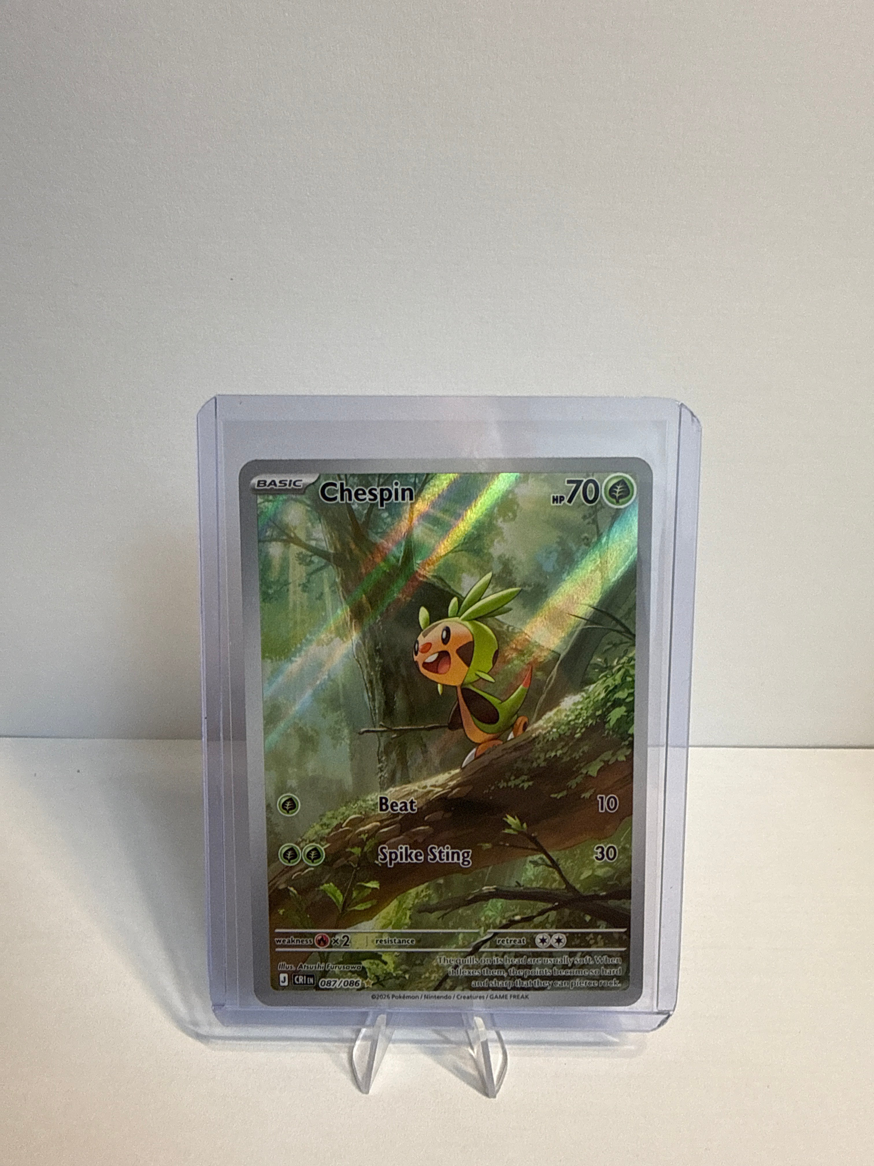 Chespin 087